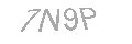Güvenlik Kodu
