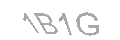 Güvenlik Kodu