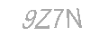 Güvenlik Kodu