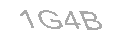 Güvenlik Kodu