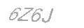 Güvenlik Kodu