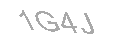 Güvenlik Kodu