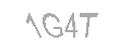 Güvenlik Kodu