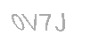 Güvenlik Kodu