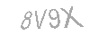 Güvenlik Kodu